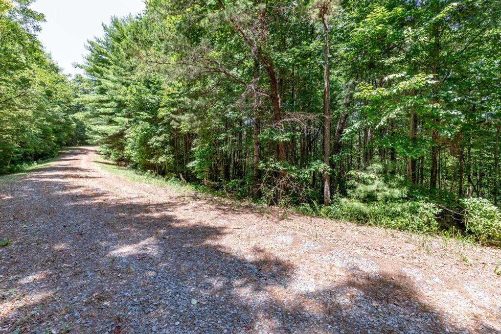 Lot 4 Rocking Chair Ridge