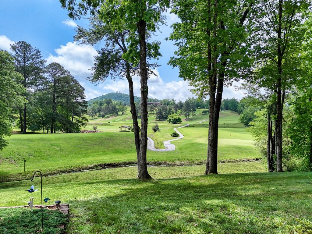 134 Birdie Lane
