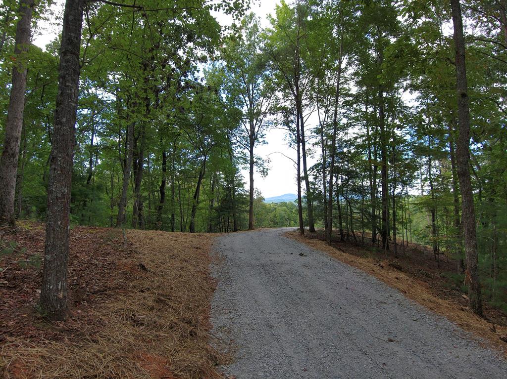 Lot 32R Woodring Branch Road