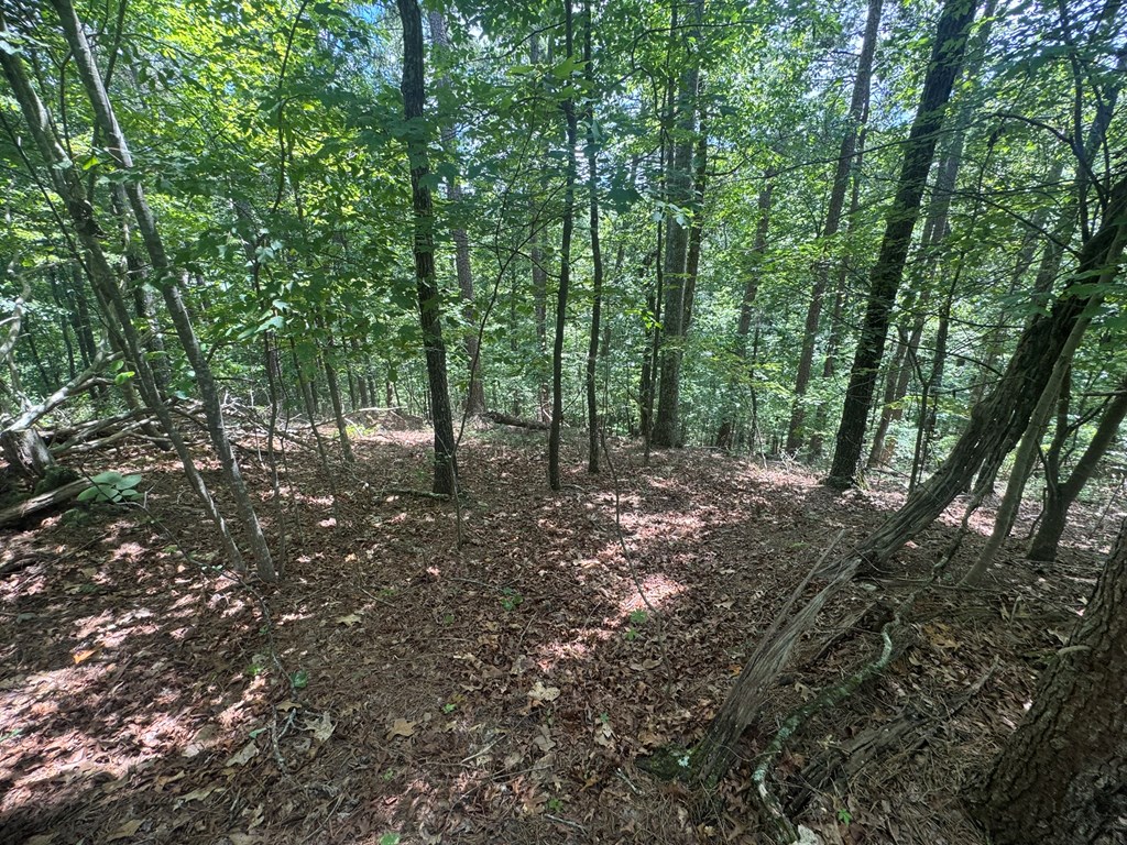 Lot 91 NE Muslin Drive