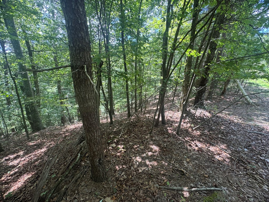 Lot 91 NE Muslin Drive