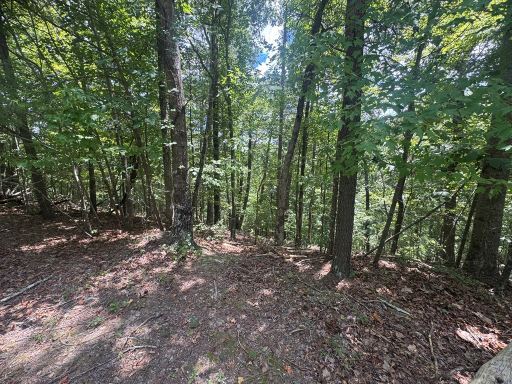 Lot 91 NE Muslin Drive