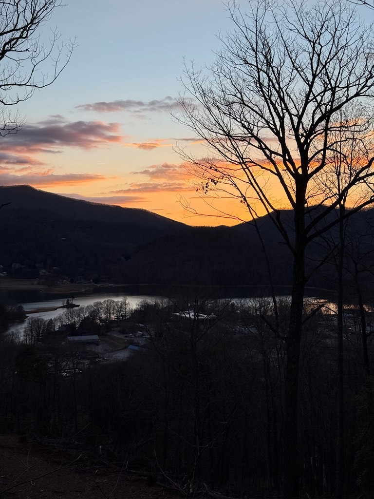 Lot 5 Whiskey Mountain Estates