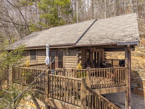 223 Novena Court Ellijay GA 30542