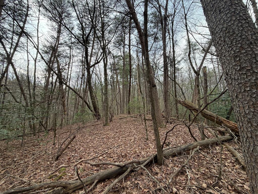 17.29 ac Pleasant Oak Trail