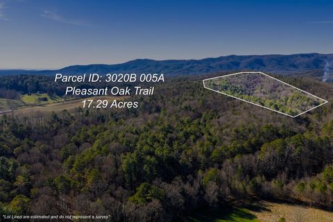17.29 ac Pleasant Oak Trail Ellijay GA 30540