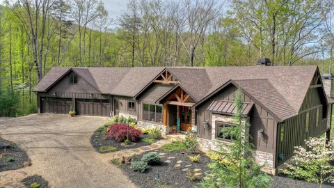 244 Wilderness Way Ellijay GA 30536