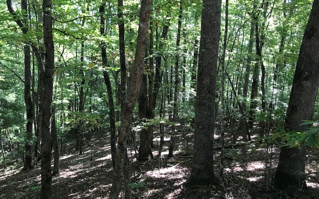 31-B Mountain View Lane