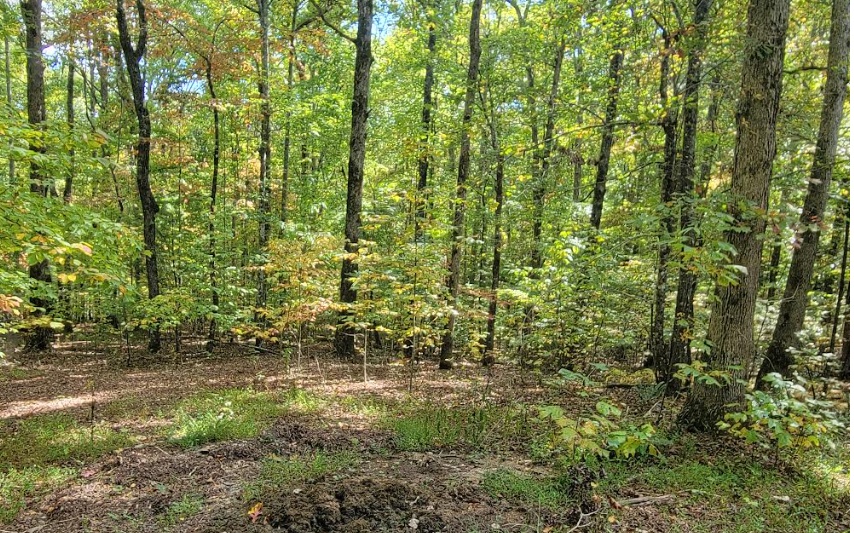 31-B Mountain View Lane