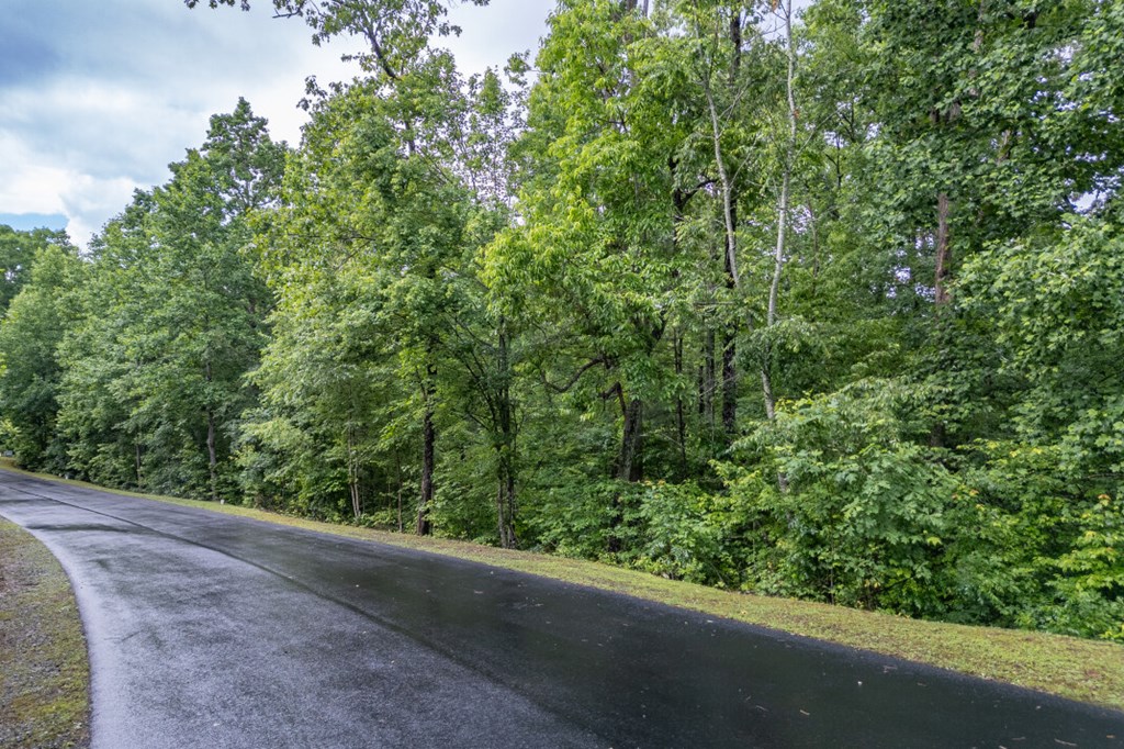 Lot 150 Tranquility @ Carters Lake