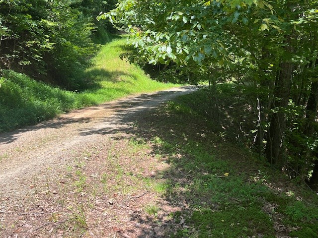 Lot 11 Laurel Mountain Road