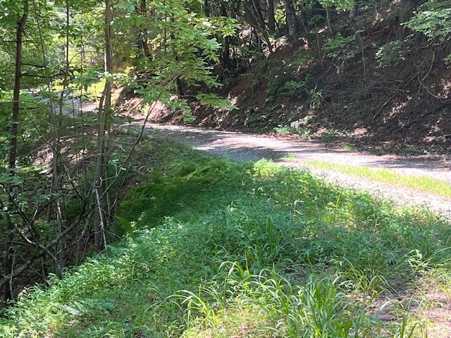 Lot 11 Laurel Mountain Road