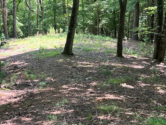 Lot 11 Laurel Mountain Road