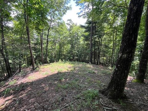 Lot 11 Laurel Mountain Road Brasstown NC 28904