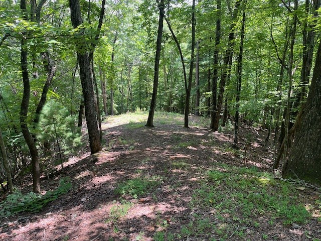 Lot 11 Laurel Mountain Road