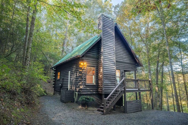 226 PINETREE DR, BLUE RIDGE, GA 30513 - Image 9ae20d9e64ae205e7130c41fb78b01ca/2517354988