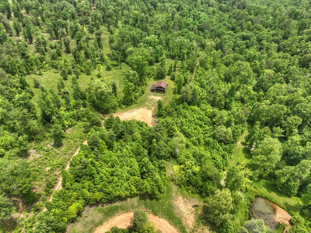 LOT 1 Hidden Acres