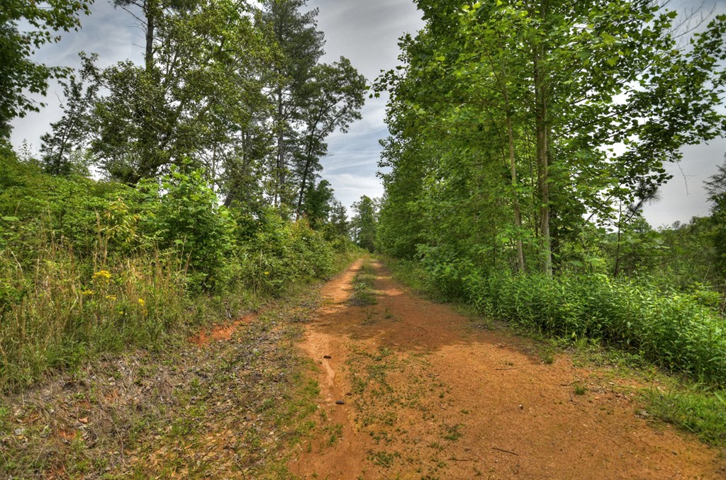 LOT 1 Hidden Acres