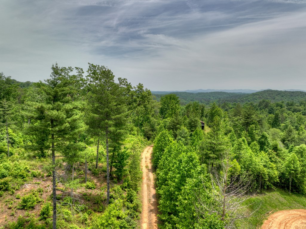 LOT 1 Hidden Acres