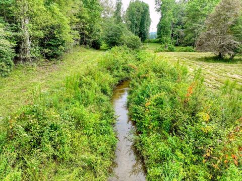 34.56 Ac Weaver Creek Road Blue Ridge GA 30513