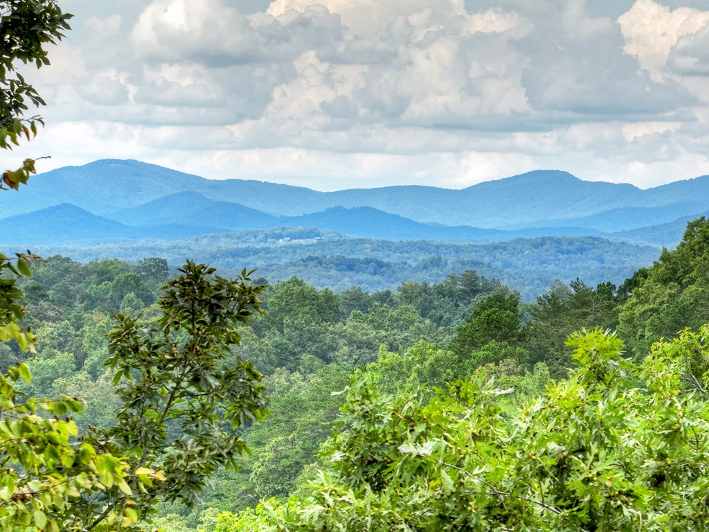 34.56 Ac Weaver Creek Road