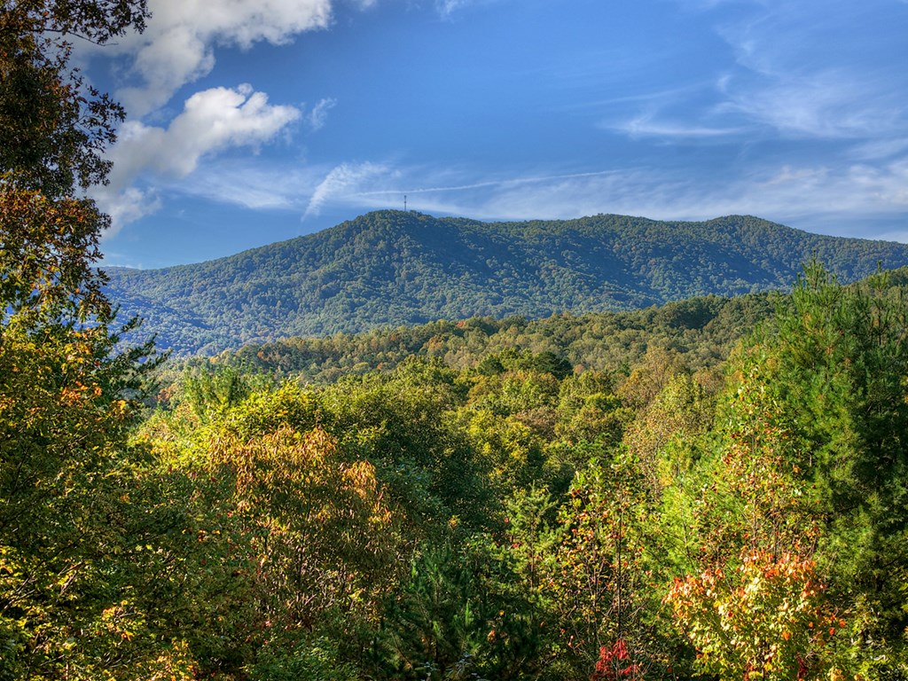 113 Deer Hunter Trail