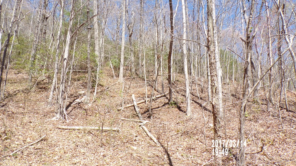 #3 Strawberry Fields