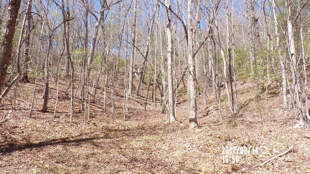 #3 Strawberry Fields