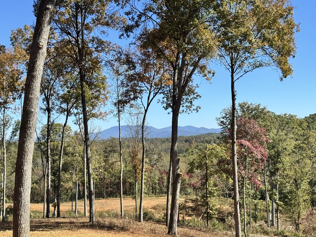 Lot C6 Briar Woods Lane