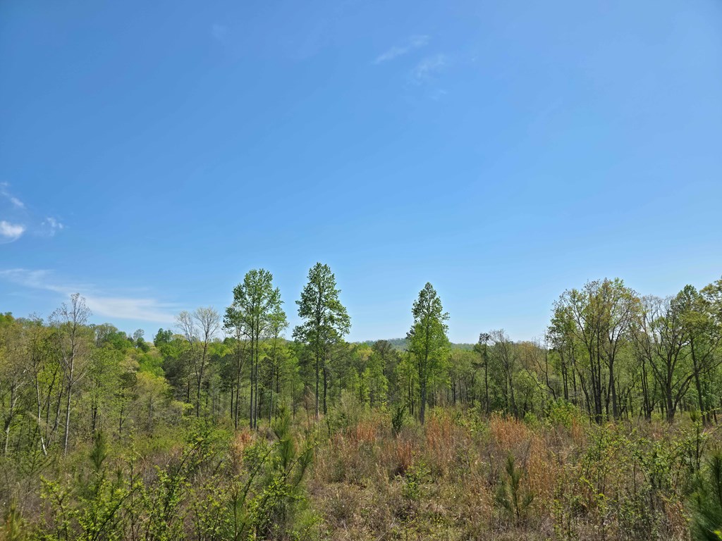 Lot 209 Oak Park Drive