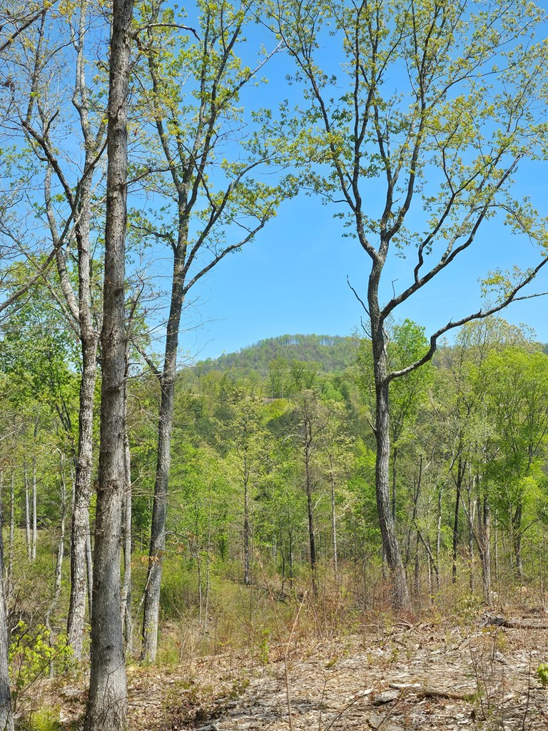 Lot 209 Oak Park Drive