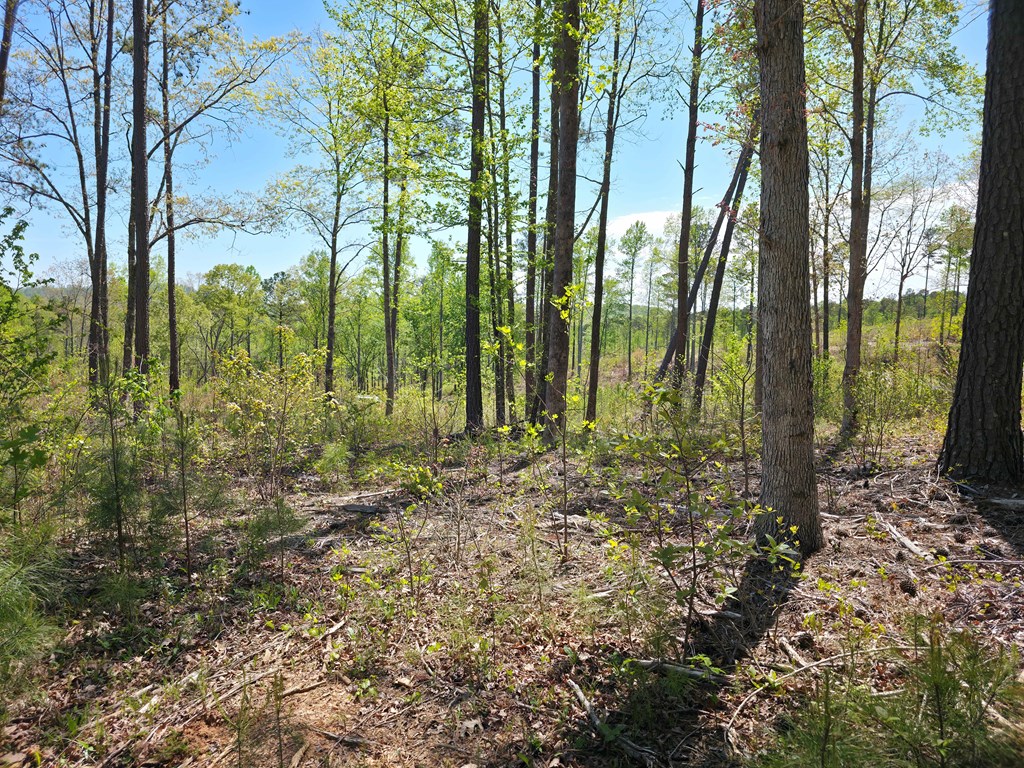 Lot 209 Oak Park Drive