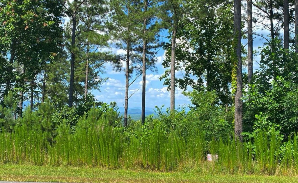 LOT 251 Ridge Pointe Way