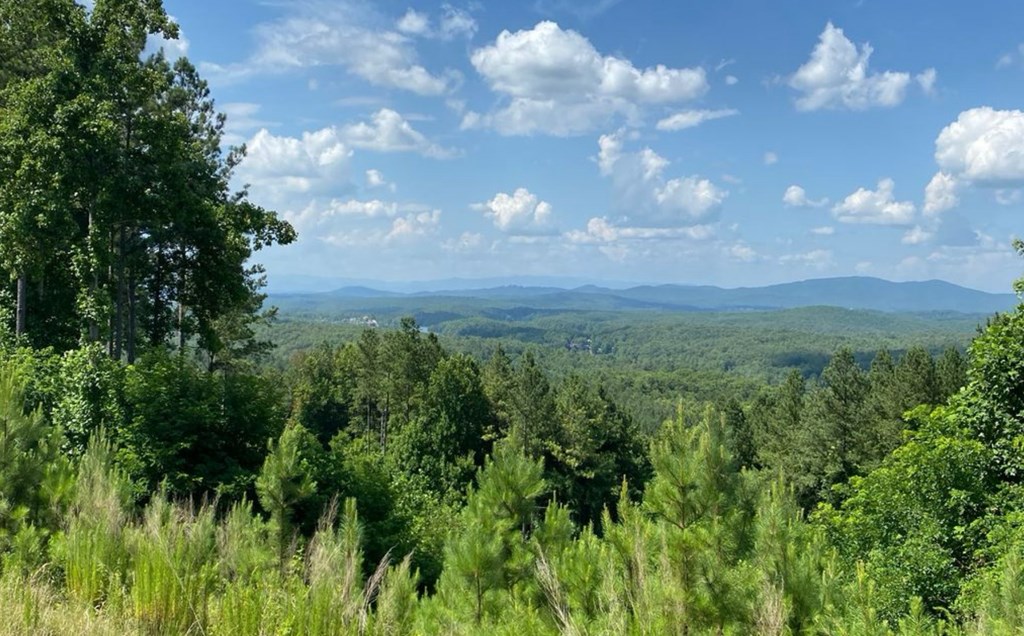 LOT 251 Ridge Pointe Way