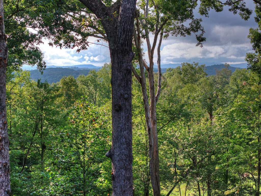 955 Old Toccoa Loop