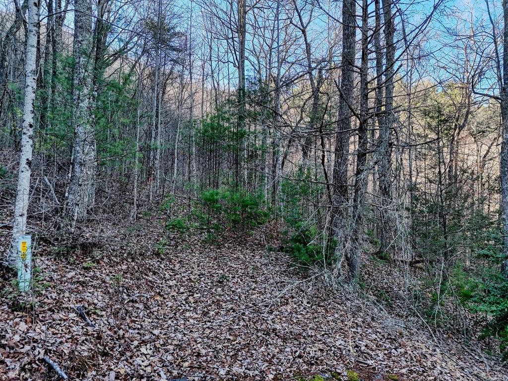 Lot 25 Highland Falls