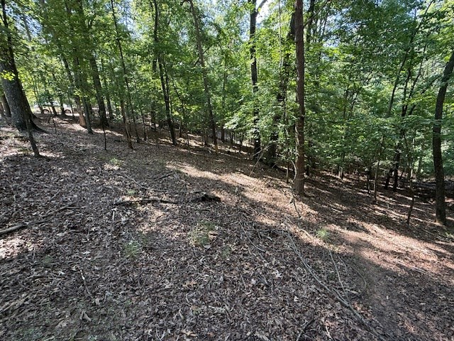 2115 Palisade Drive