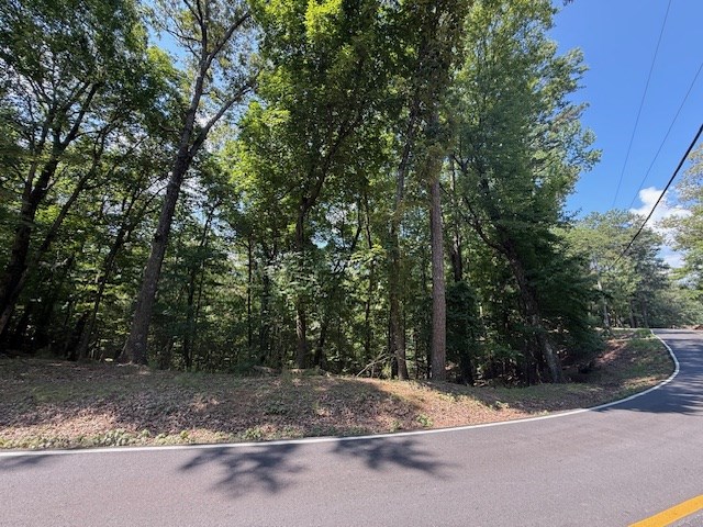 2115 Palisade Drive