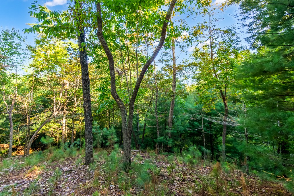 Lt 2076r Parody Circle