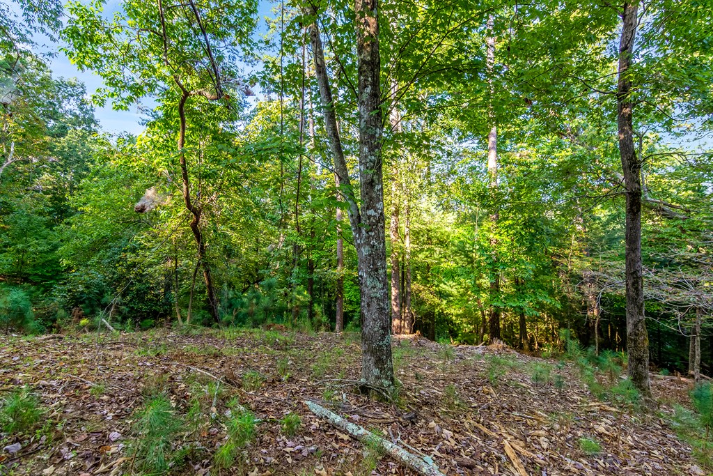 Lt 2076r Parody Circle