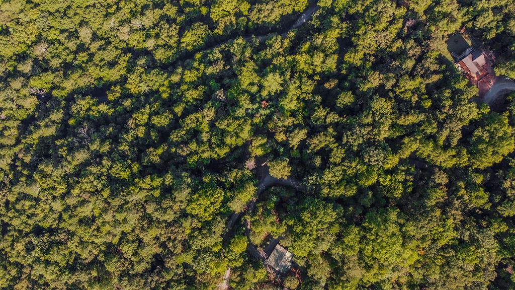 Lt 2076r Parody Circle