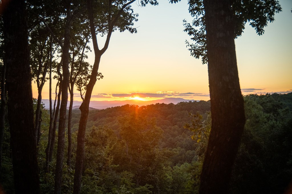 168 Rabbit Ridge Road