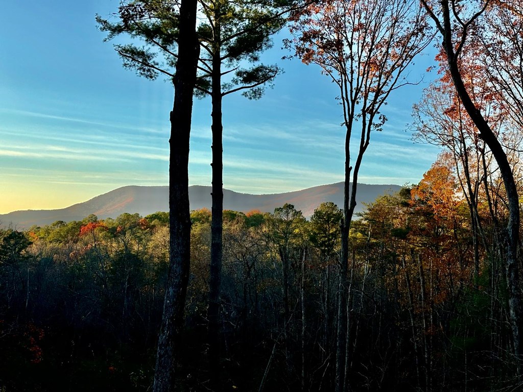 361 Rising Star Road