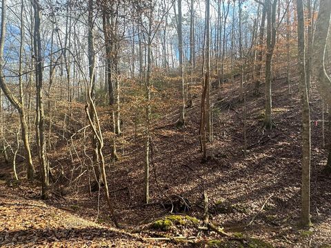 Lot 2749 Nimrod Court Ellijay GA 30540