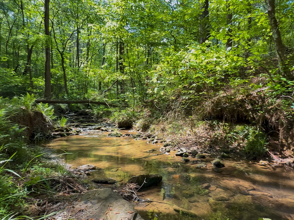 824 Bridge Road