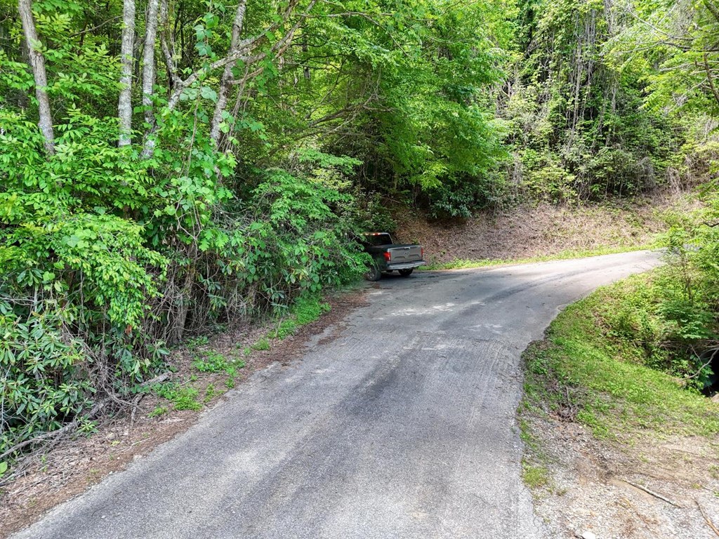 779 Grindstone Road