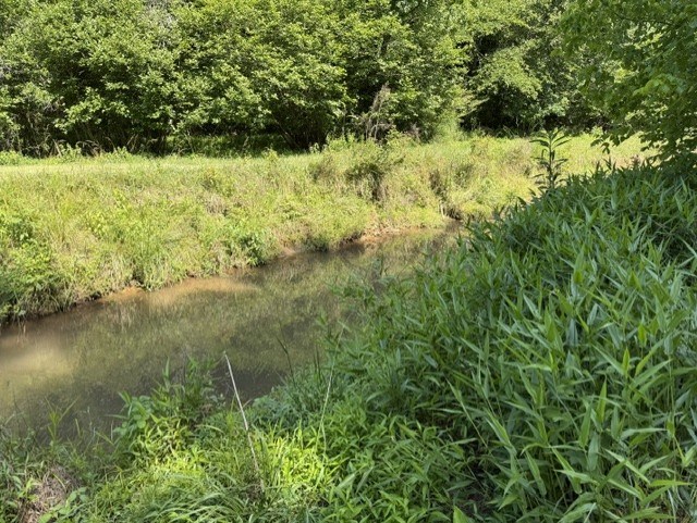 0 Lot 6 Clear Creek Preserve Way