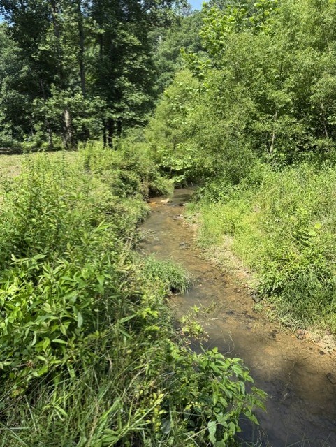 0 Lot 6 Clear Creek Preserve Way