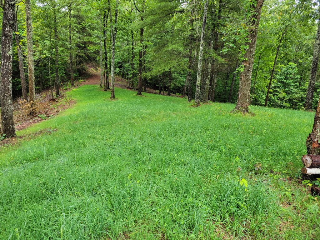 TR1-22 Majestic Mountain Trail