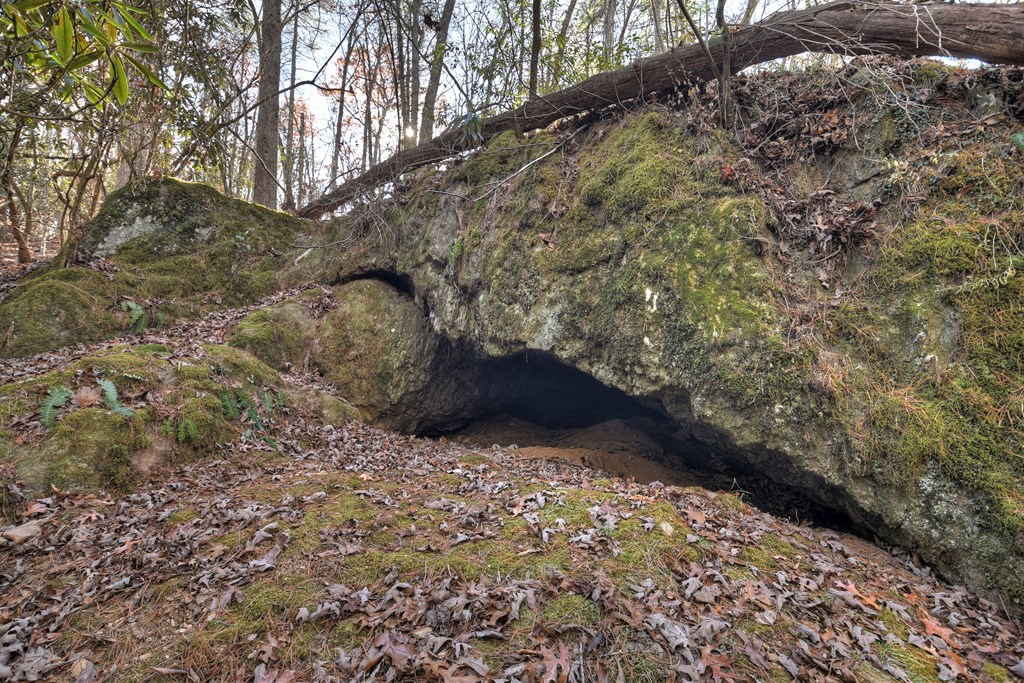15.46 Dunn Mill Creek Road